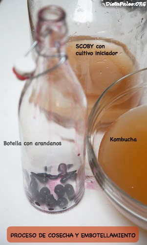 kombucha-preparacion